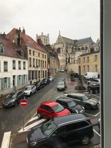 Les Dames Au Chapeau Vert Saint-Omer  Eksteriør billede